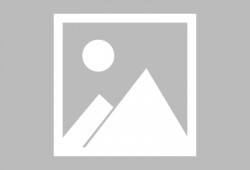 裁判文书网吃瓜,揭秘法律纠纷背后的故事